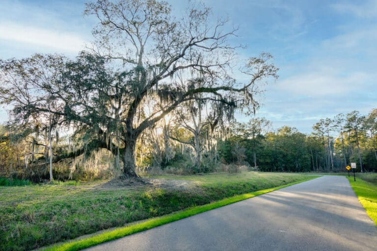 Wingfield Estates - Home Sites For Sale